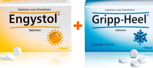 Engystol 50 Tabletten + Gripp Heel 50 Tabletten