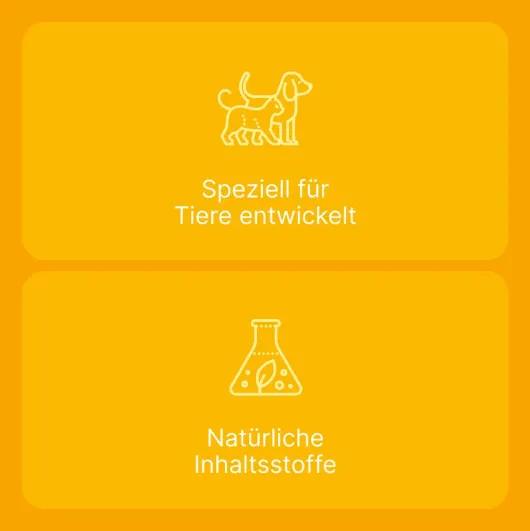 Engystol T Ad Us. vet. 100 Tabletten