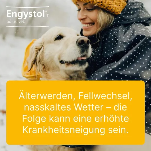 Engystol T Ad Us. vet. 100 Tabletten