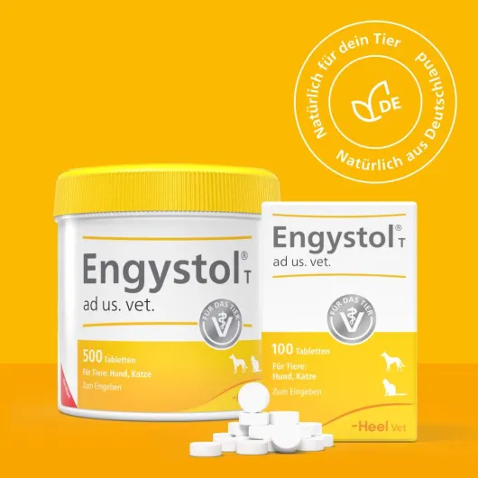 Engystol T Ad Us. vet. 100 Tabletten