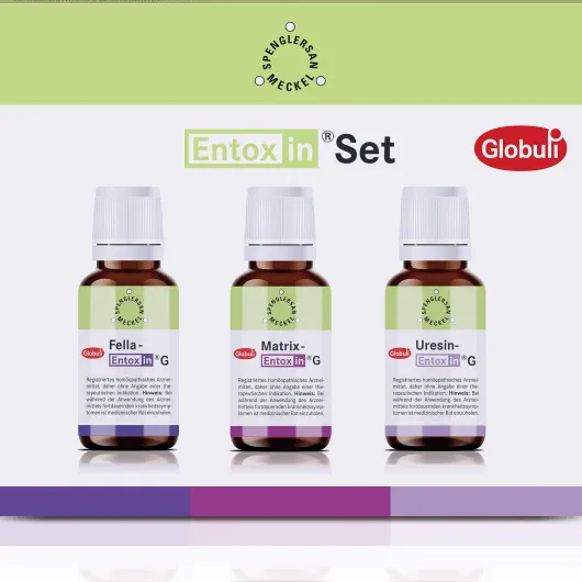 Entoxin Set G 3 X 10 G Globuli
