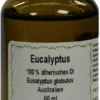 Eucalyptus Öl 100% Ätherisch 50 ml Öl