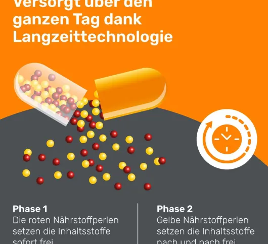 Eunova Langzeit 50+ Kapseln 60 Stück