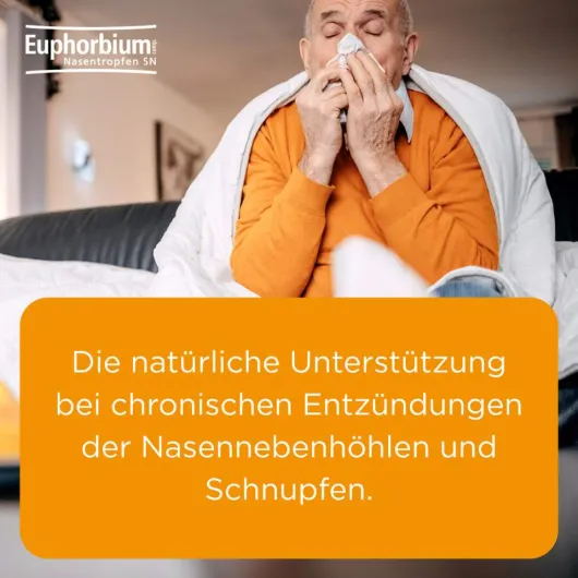 Euphorbium comp. Nasentropfen SN 20 ml Nasendosierspray