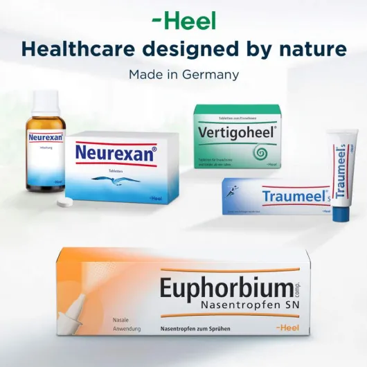 Euphorbium comp. Nasentropfen SN 20 ml Nasendosierspray