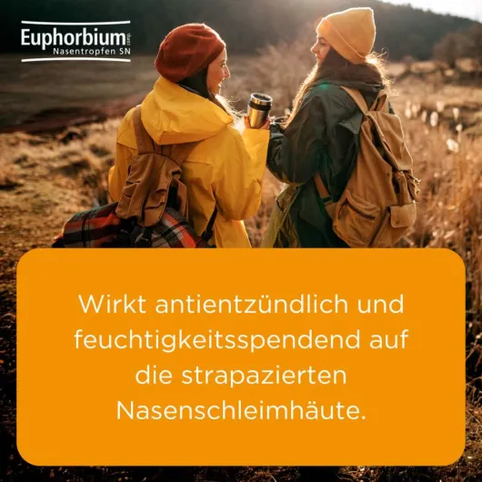 Euphorbium comp. Nasentropfen SN 20 ml Nasendosierspray