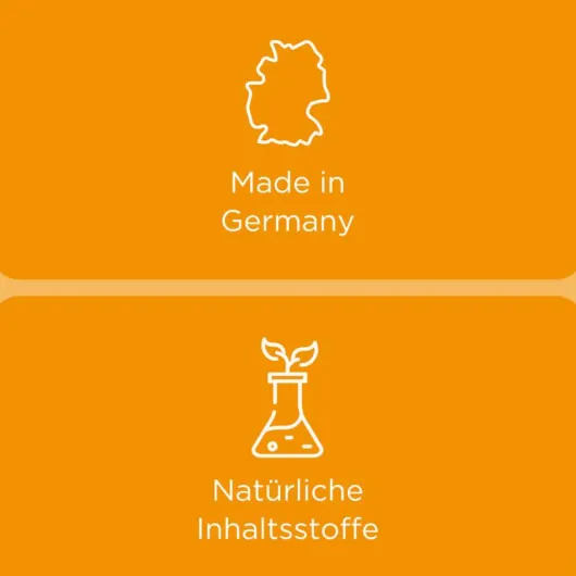 Euphorbium comp. Nasentropfen SN 20 ml Nasendosierspray