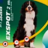 Exspot Lösung Für Hunde Ab 15 KG 6 X 2 ml