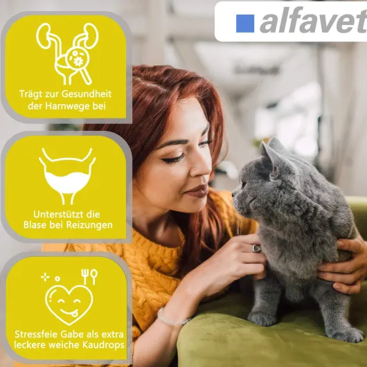 FeliGum Struvit 80 Kaudrops für Katzen und kleine Hunde