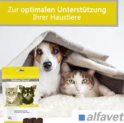 FeliGum Struvit 80 Kaudrops für Katzen und kleine Hunde