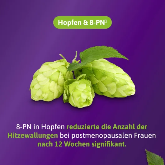 Femibion Menopause Hitzewallungen 90 Tabletten