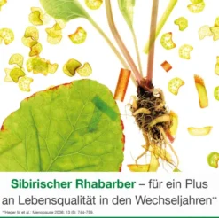 femiLoges 90 magensaftresistente Tabletten