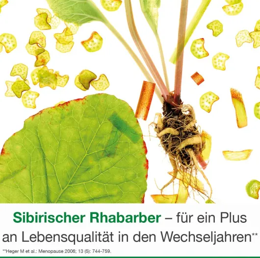 femiLoges 60 magensaftresistente Tabletten