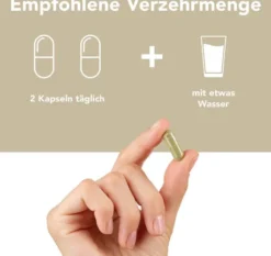 Fermentura Doloferm 60 Kapseln