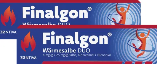 Finalgon Wärmesalbe Duo 4 mg je g + 25 mg je g 2 x 20 g Salbe