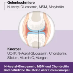 Flexiloges Knorpel Aktiv 240 Kapseln