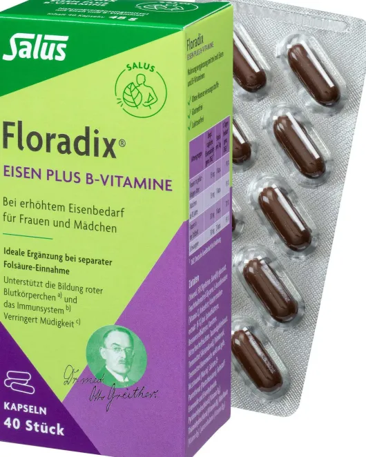 Floradix Eisen Plus B Vitamine 40 Kapseln