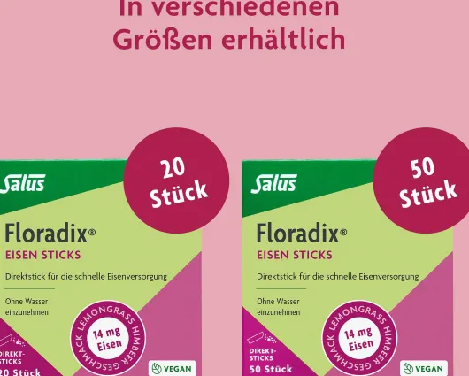 Floradix Eisen Sticks 50 Stück