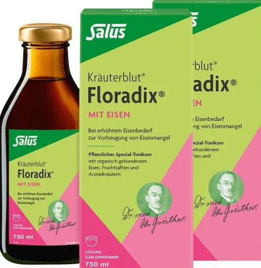 Floradix mit Eisen Tonikum 2 x 700 ml