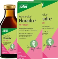 Floradix mit Eisen Tonikum 2 x 500 ml