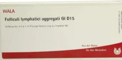Folliculi Lymph. Aggr. Gl D 15 Ampullen