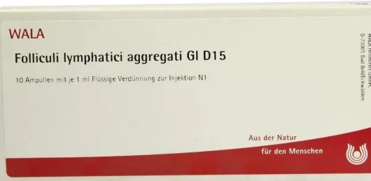 Folliculi Lymph. Aggr. Gl D 15 Ampullen