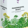 Frauenmantelkraut Tee