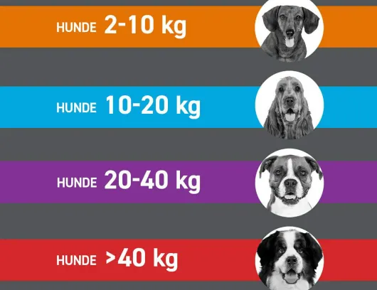 Frontline Combo Spot on Hund L 20-40 kg 3 Pipetten