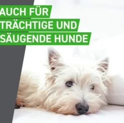 Frontline Combo Spot on Hund S 2-10 kg 3 Pipetten