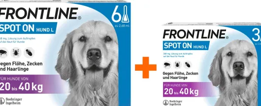 Frontline Spot On Hund L 20-40 kg 6 + 3 Pipetten