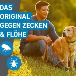 Frontline Spot On Hund L 20-40 kg 3 Pipetten