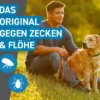 Frontline Spot On Hund L 20-40 kg 6 Pipetten