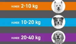 Frontline Spot On Hund L 20-40 kg 6 Pipetten