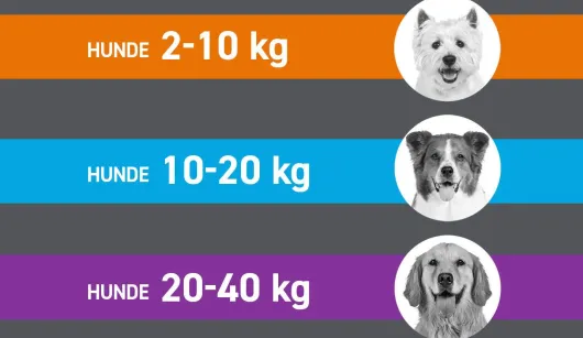 Frontline Spot On Hund S 2-10 kg 6 Pipetten