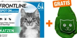 Frontline Spot on Katze 6 Pipetten + gratis Frontline Baldriankissen für Katzen