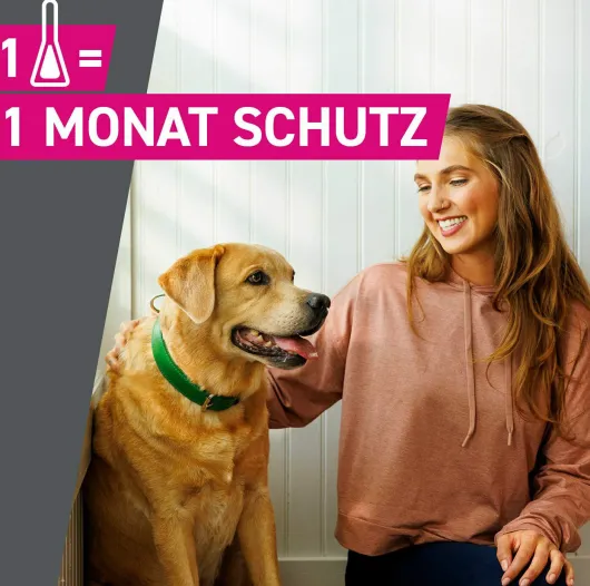 Frontline TRI-ACT Hund 5-10 kg 3 Pipetten