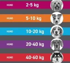 Frontline TRI-ACT Hund 5-10 kg 3 Pipetten