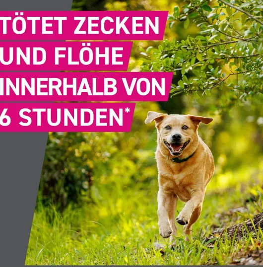 Frontline TRI-ACT Hund 5-10 kg 3 Pipetten