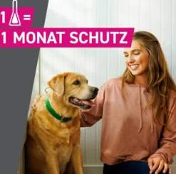 Frontline TRI-ACT Hund 40-60 kg 6 Pipetten