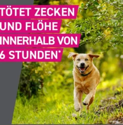 Frontline TRI-ACT Hund 40-60 kg 6 Pipetten