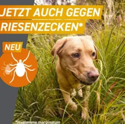 Frontpro 136 mg für Hunde 25-50 kg 3 Kautabletten