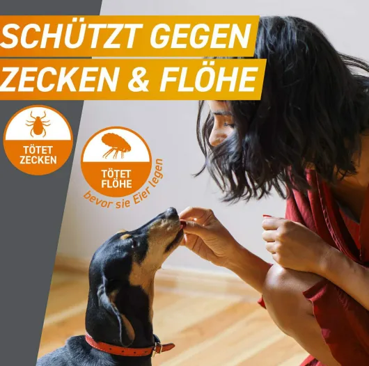 Frontpro 28,3 mg für Hunde 4-10 kg 3 Kautabletten