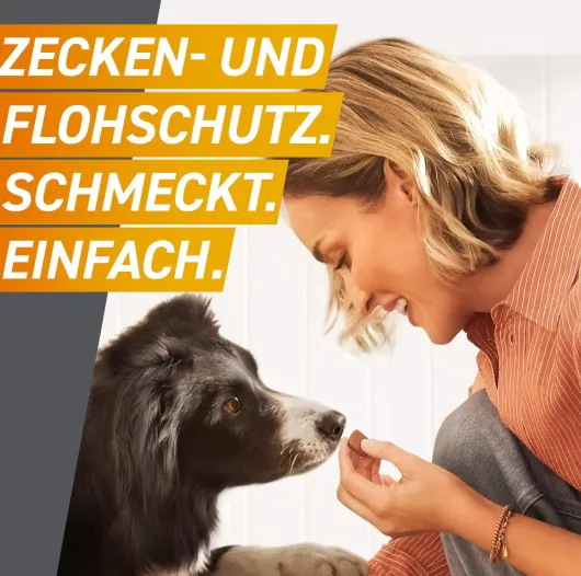 Frontpro 28,3 mg für Hunde 4-10 kg 3 Kautabletten