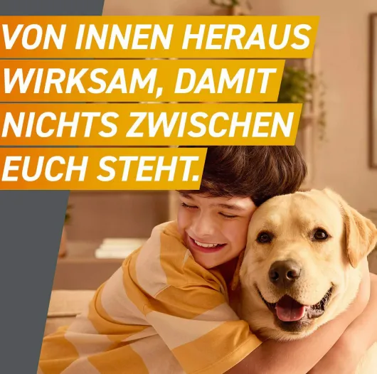 Frontpro 28,3 mg für Hunde 4-10 kg 3 Kautabletten