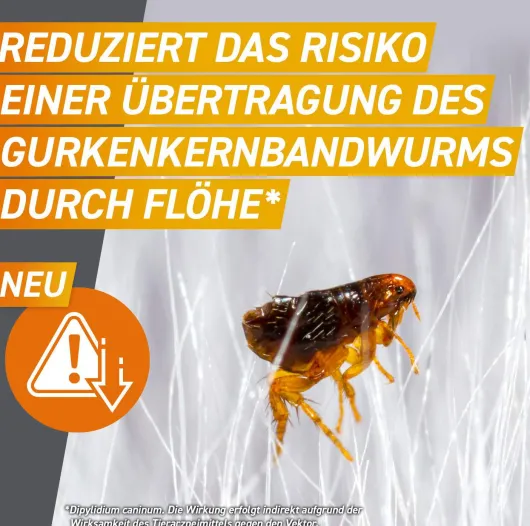 Frontpro 28,3 mg für Hunde 4-10 kg 3 Kautabletten