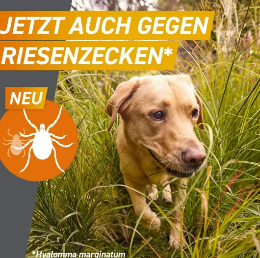 Frontpro 28,3 mg für Hunde 4-10 kg 3 Kautabletten