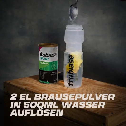 Frubiase Sport Ausdauer 440 G Brausepulver