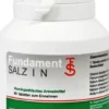 Fundament Salz I N Tabletten 4 X 80