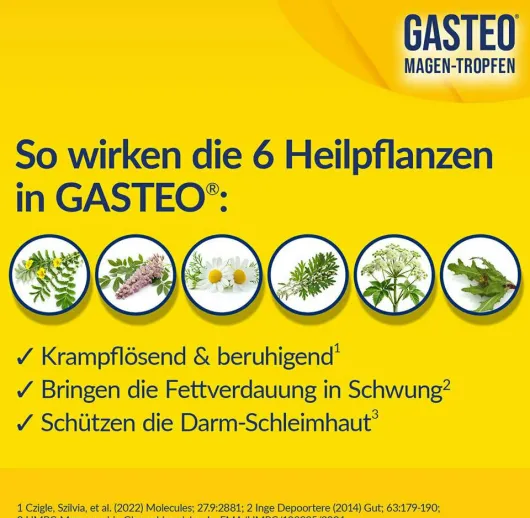 Gasteo Magen-Tropfen 20 ml