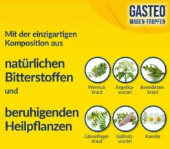 Gasteo Magen-Tropfen 20 ml